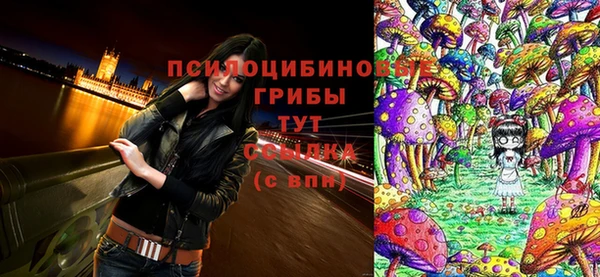 бошки Михайловск