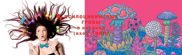 таблы Алзамай