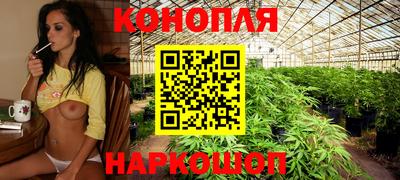 эйфоретик Можга