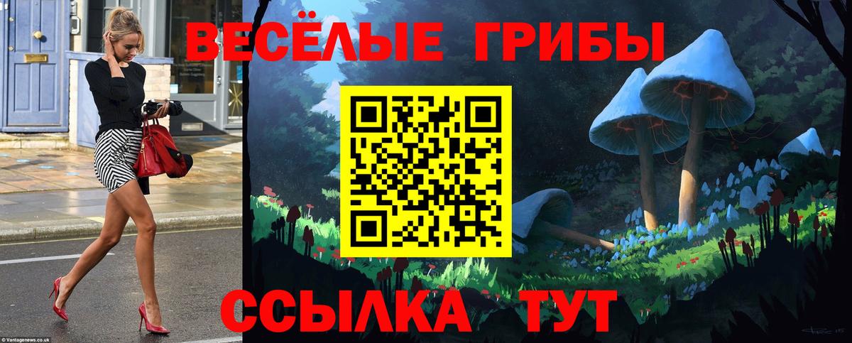 Псилоцибиновые грибы MAGIC MUSHROOMS Симферополь
